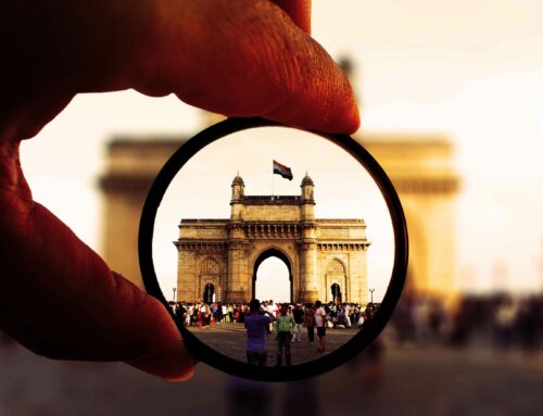 India in the focus of global business