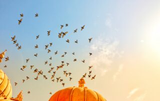 Hoffnungsträger Indien Whitepaper